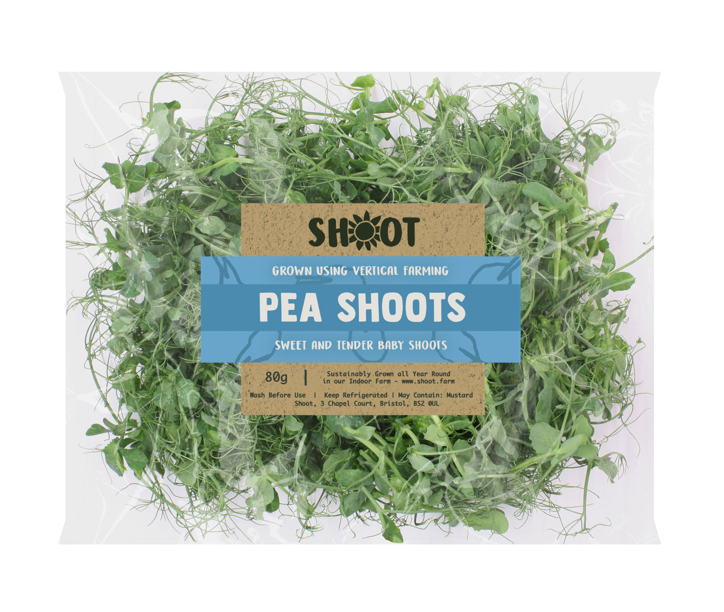 Pea Shoots