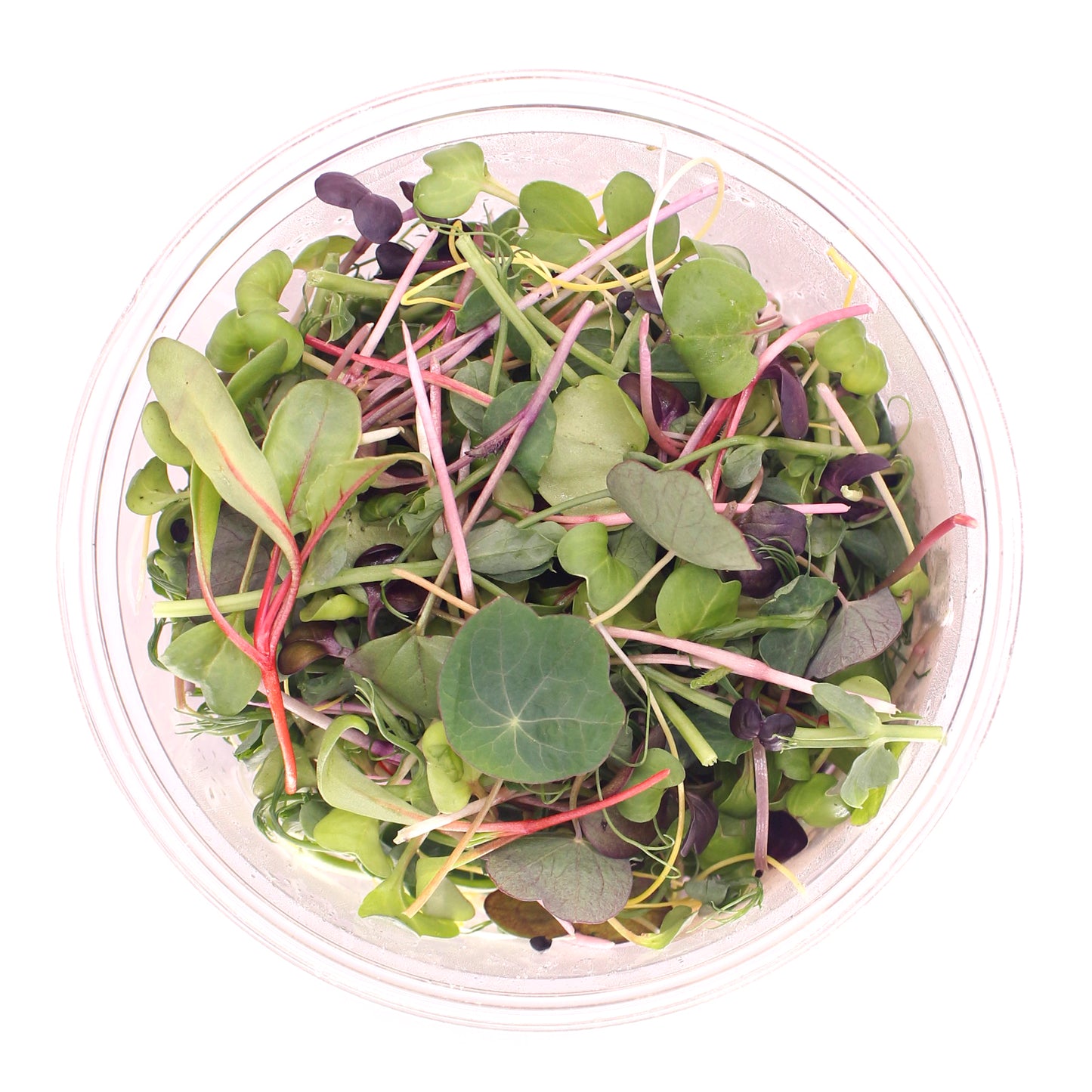 Micro Salad Mix